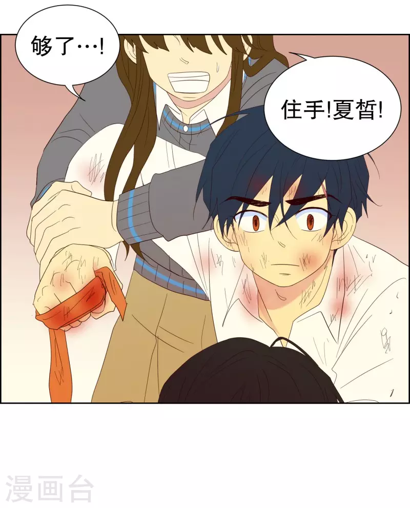 第120话 夏皙的选择113