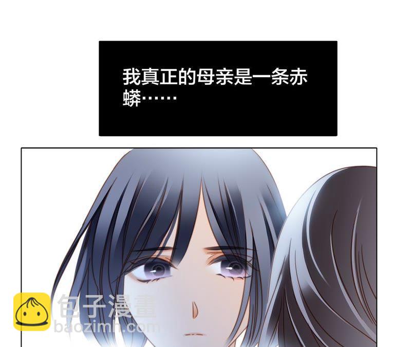 第33话 真相12