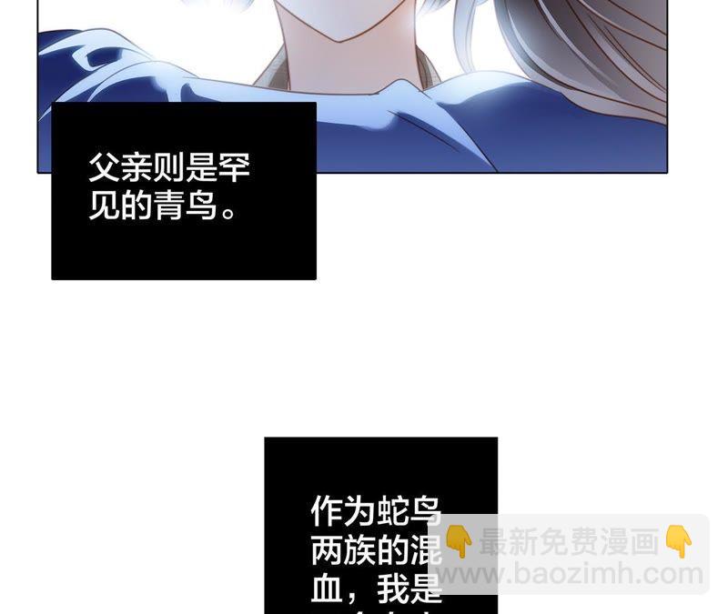 第33话 真相13