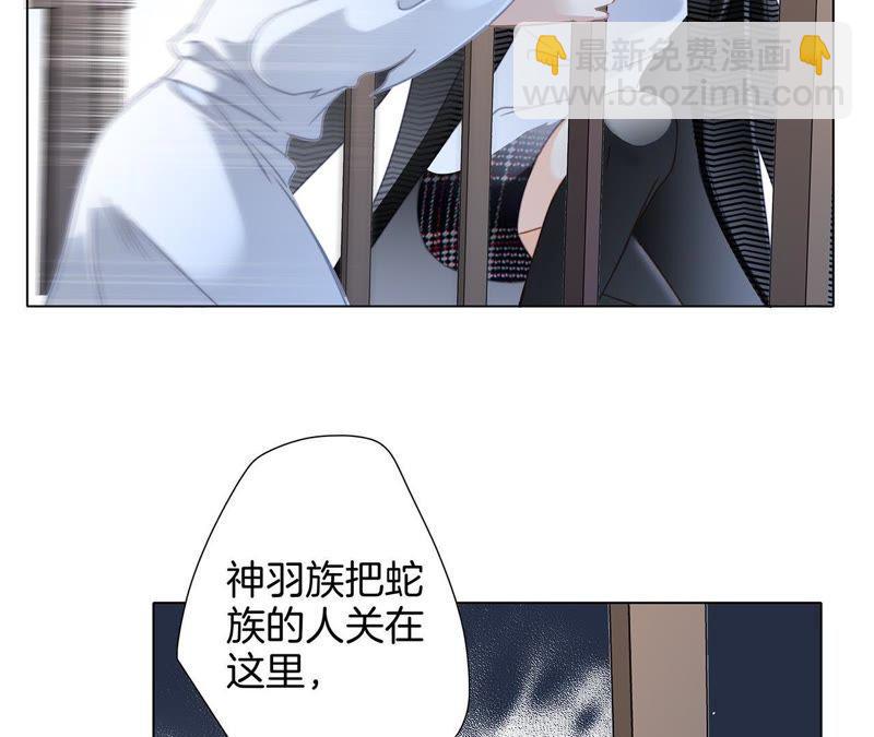 第42话 金翅鸟13
