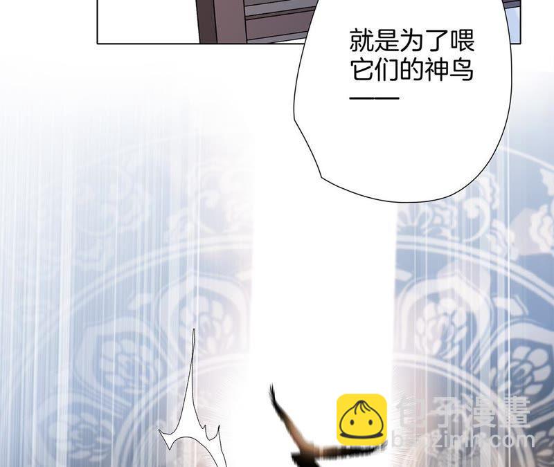 第42话 金翅鸟15