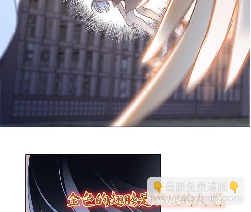 第42话 金翅鸟23