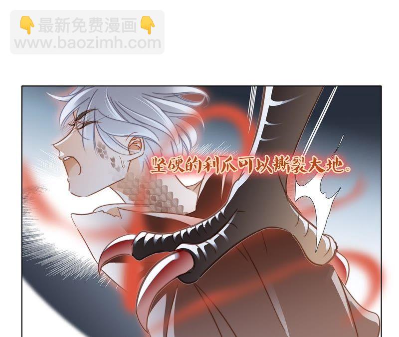 第42话 金翅鸟26
