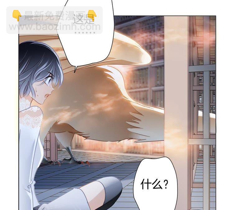第42话 金翅鸟31