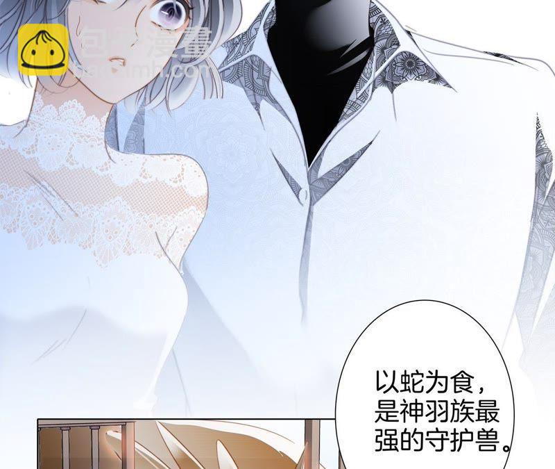 第42话 金翅鸟33
