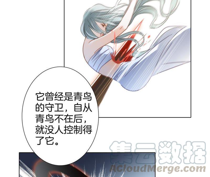 第42话 金翅鸟35