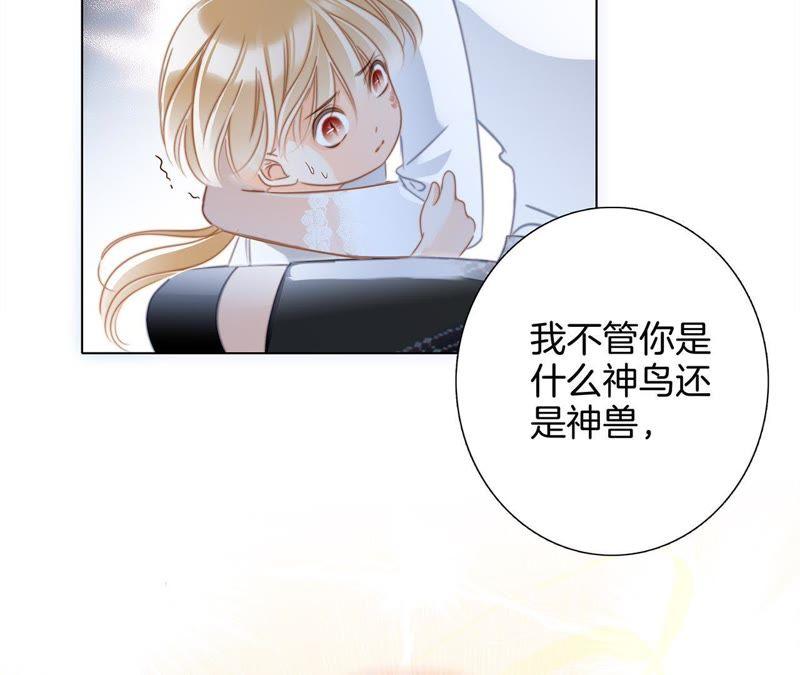 第42话 金翅鸟46