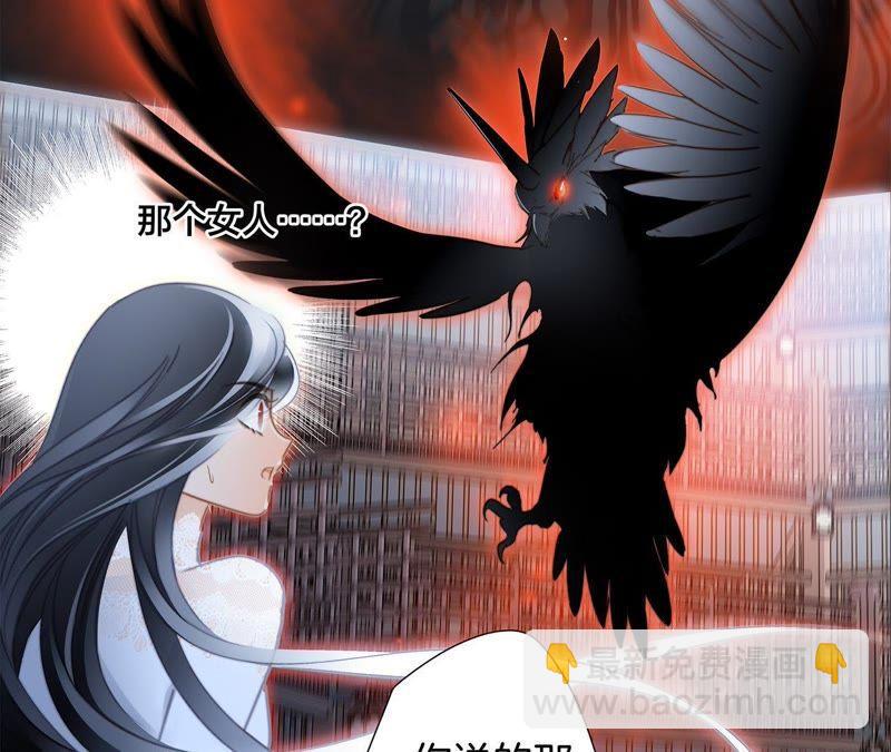 第42话 金翅鸟58
