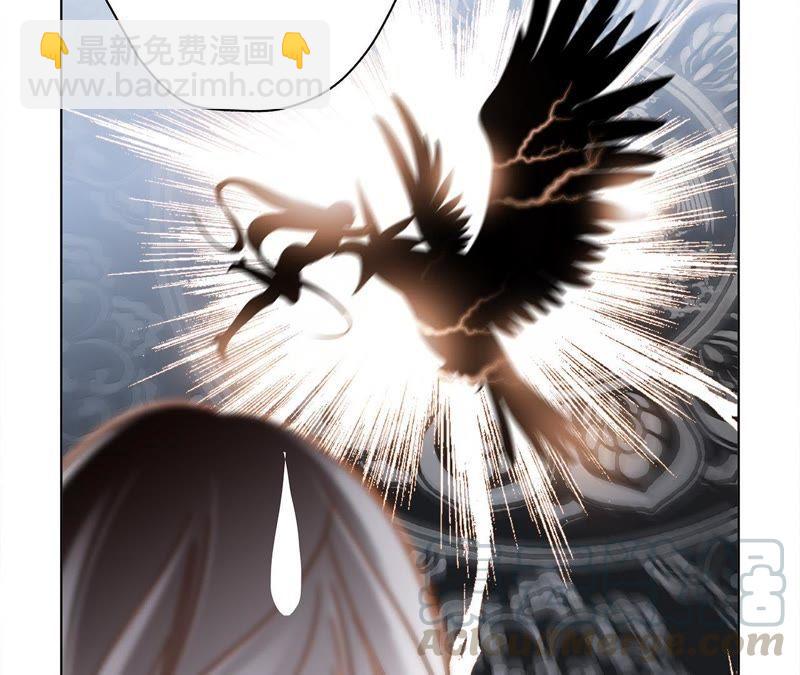 第42话 金翅鸟67