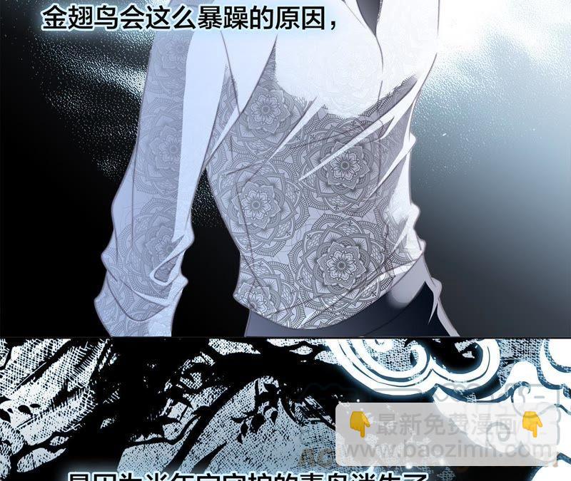 第42话 金翅鸟81
