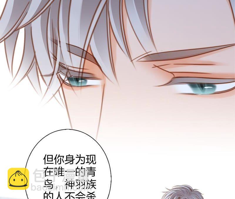 第49话 决心52