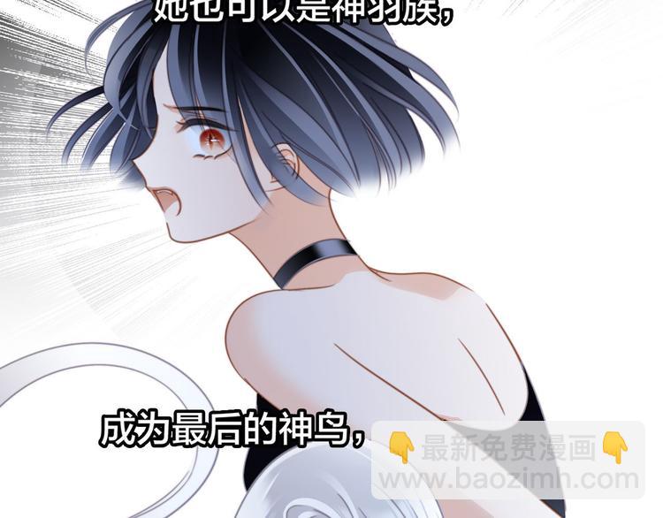 剧情梳理 特别篇55