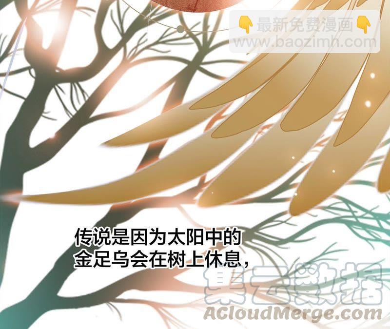第59话 明庭（上）5