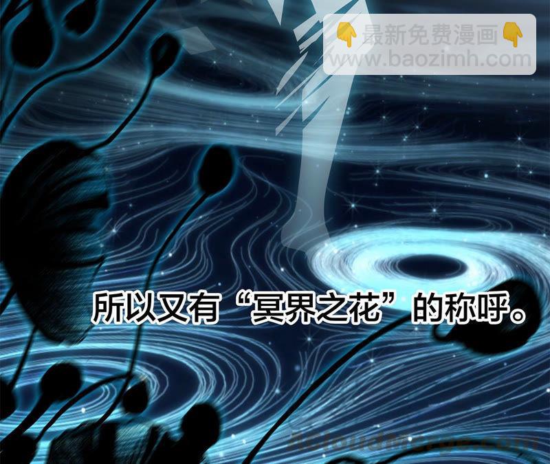 第62话 冥界之花12