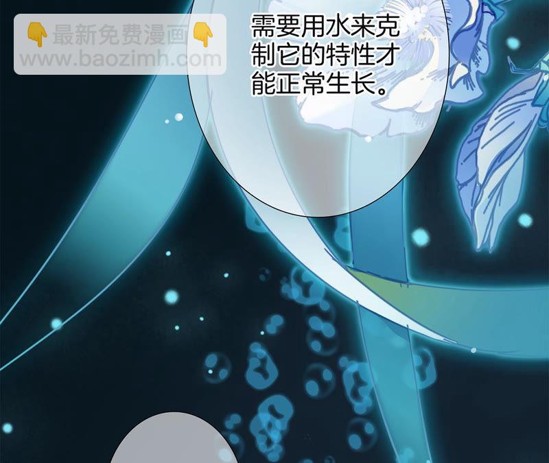 第62话 冥界之花31