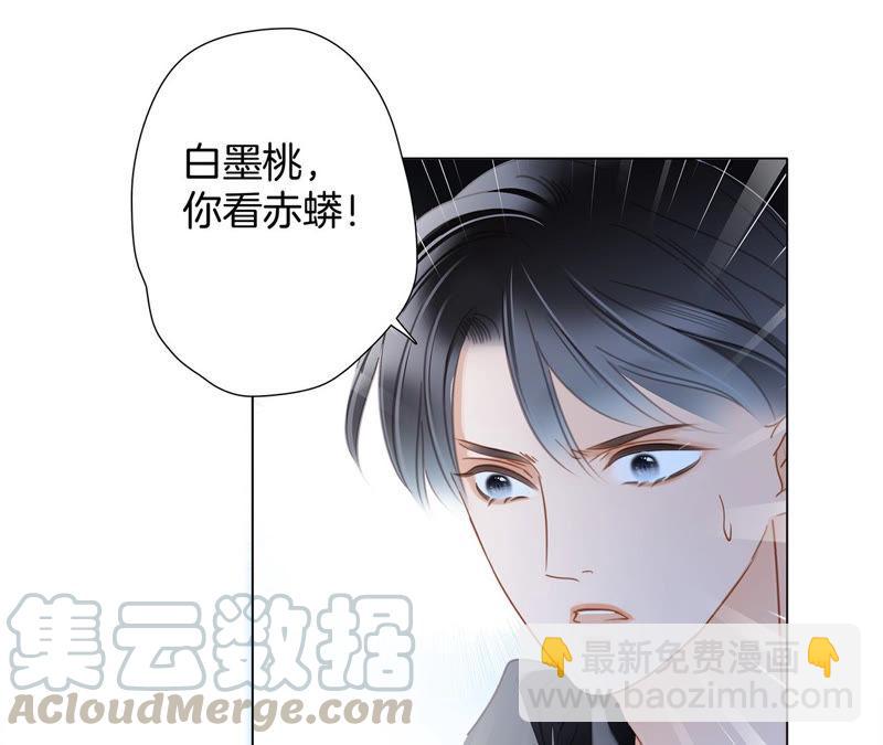 第63话 循环44