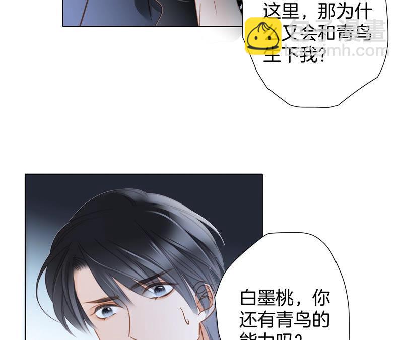 第63话 循环55