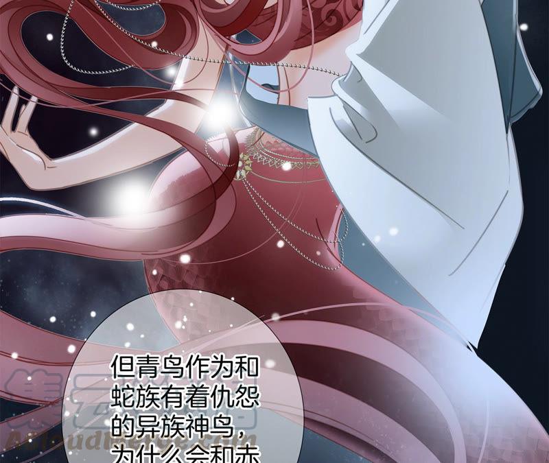 第63话 循环76