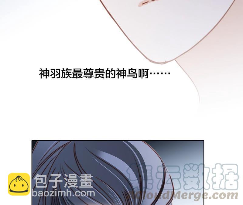 第83话 群鸟24