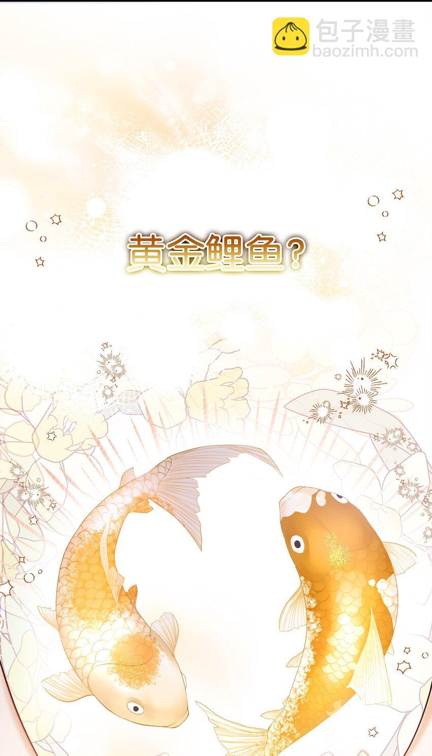 83 永不厌倦77