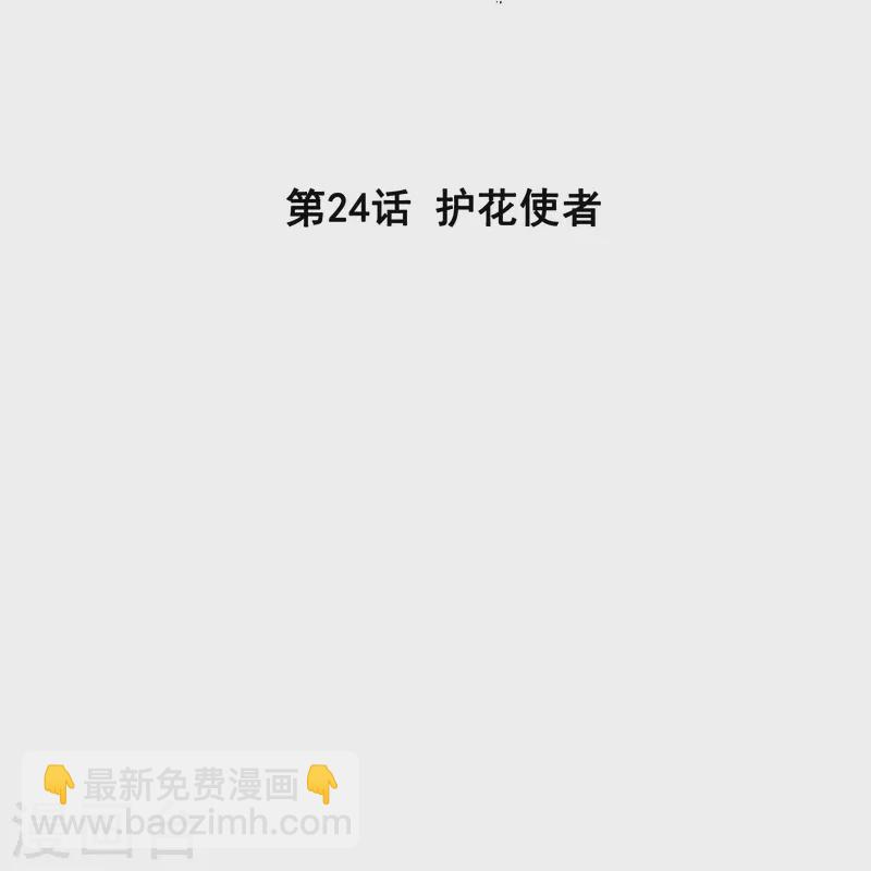 第24话 护花使者1