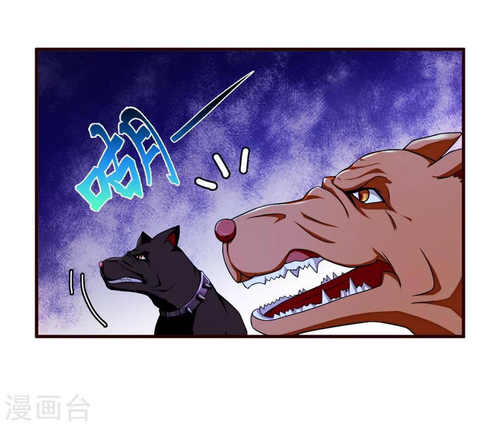 第20话 报复2