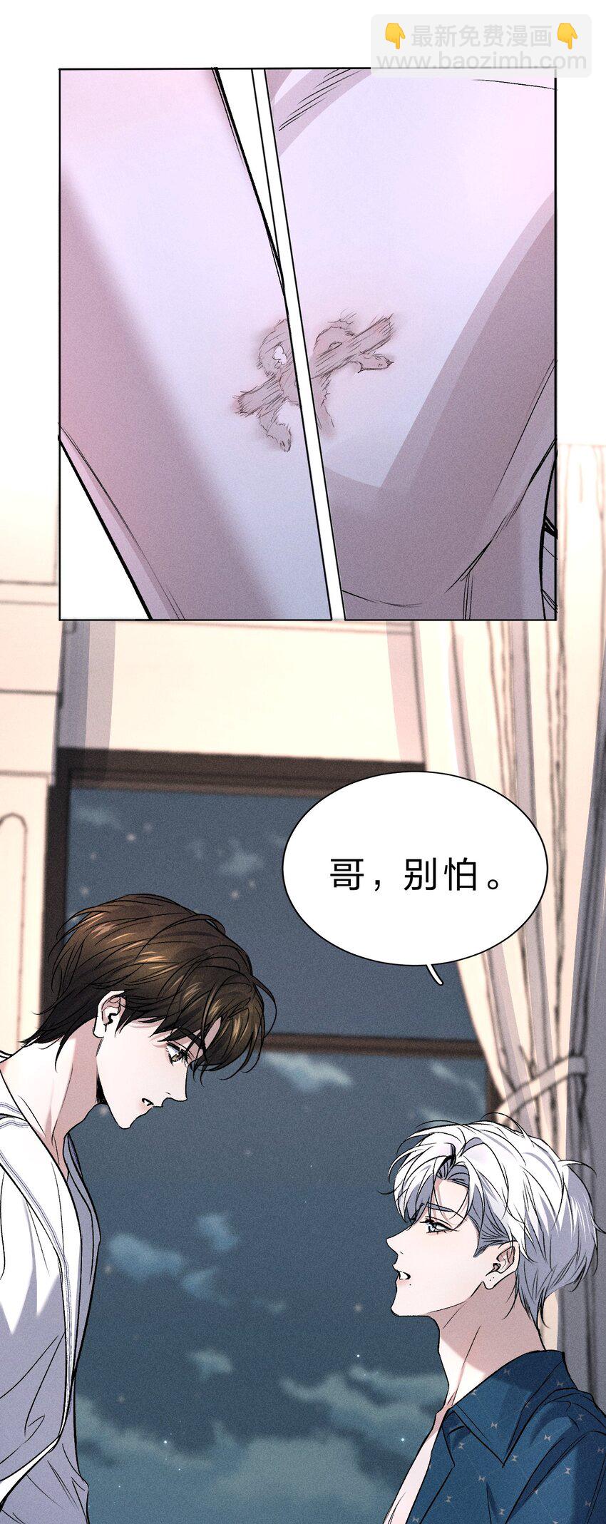 006 我亲爱的……宠物25