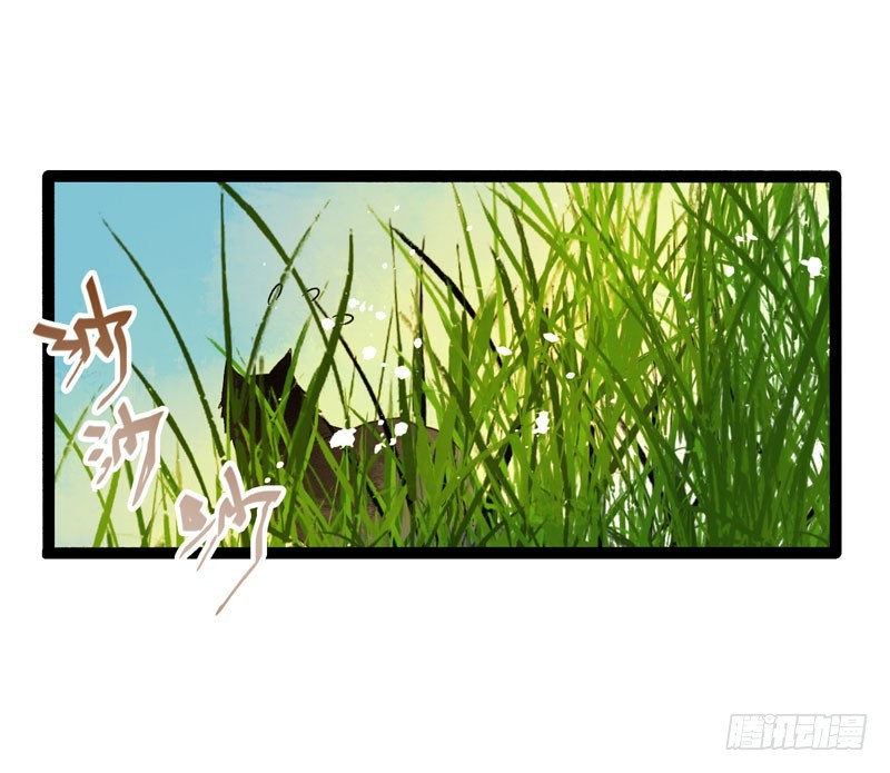 姑娘，我是你当年救下的小可爱呀！11