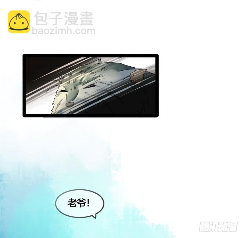 姑娘，我是你当年救下的小可爱呀！16