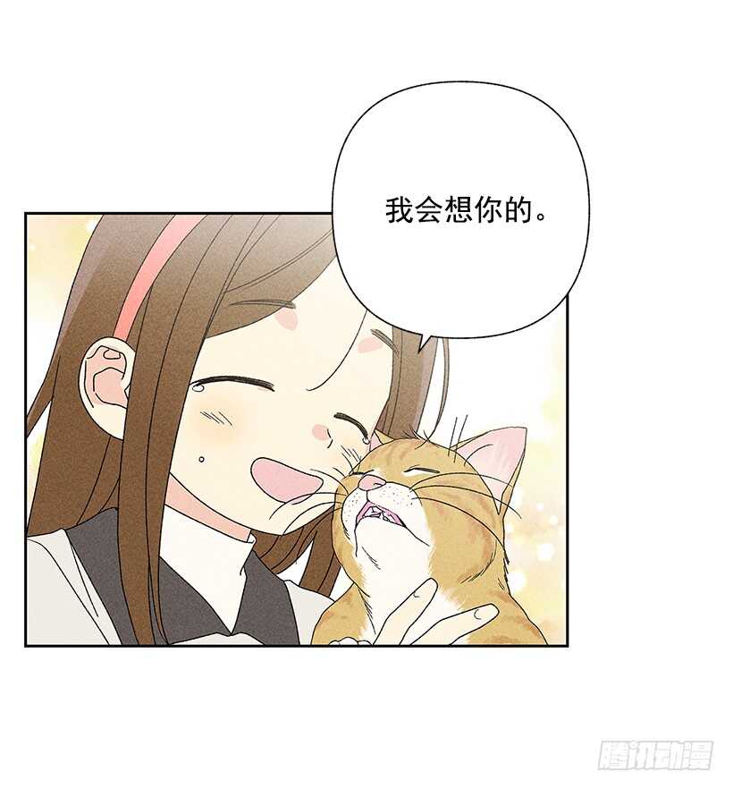 31.我会想你的31