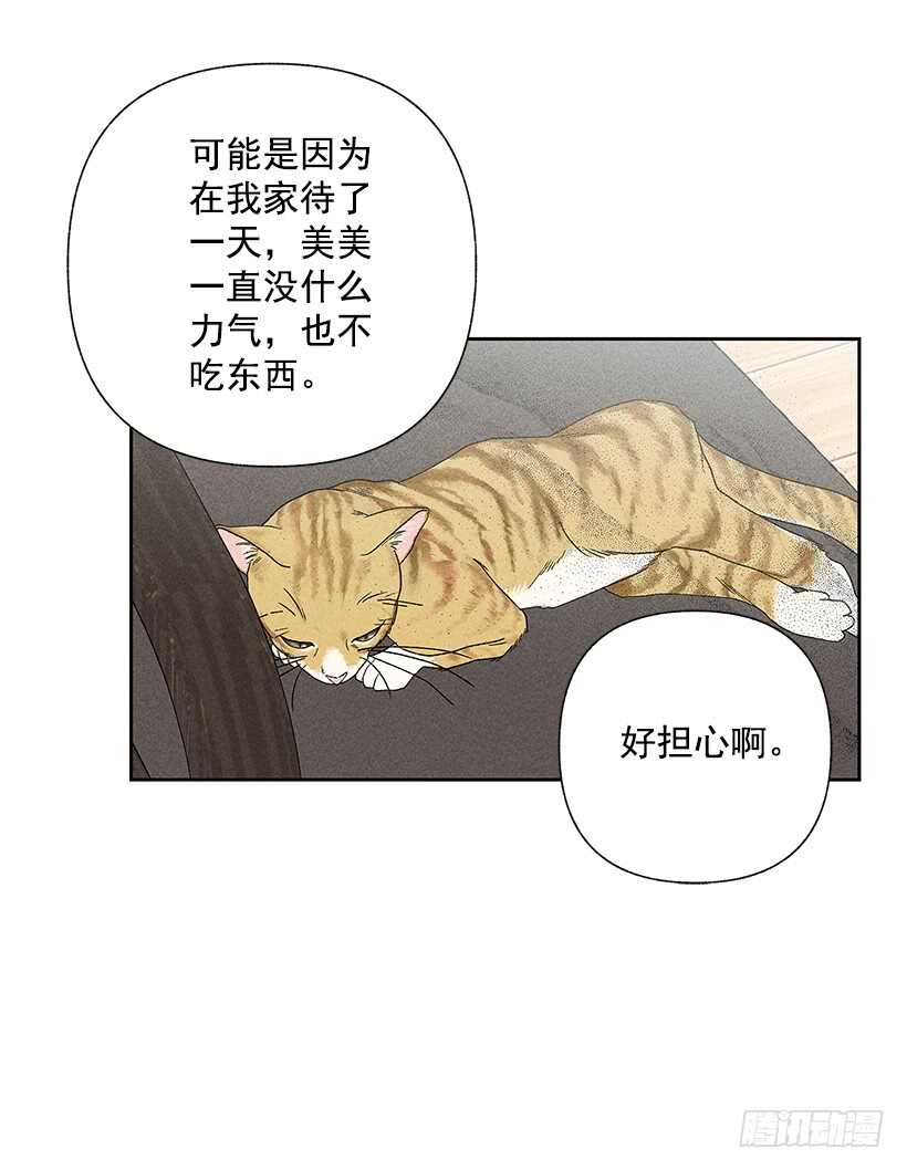 31.我会想你的38