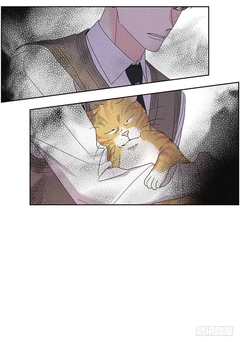 31.我会想你的54
