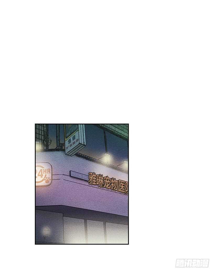 31.我会想你的55