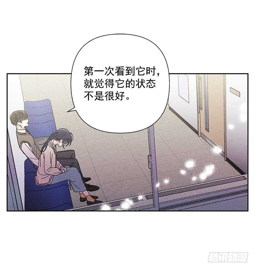31.我会想你的57