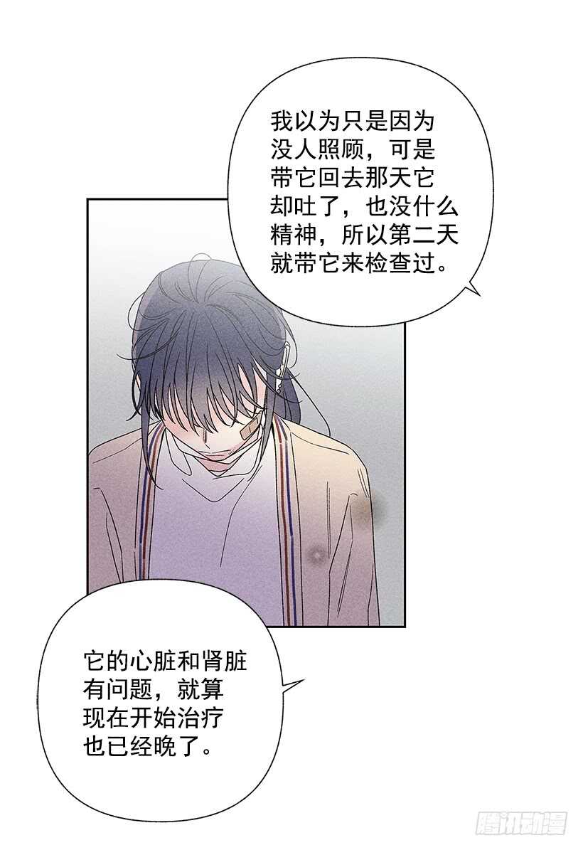 31.我会想你的58
