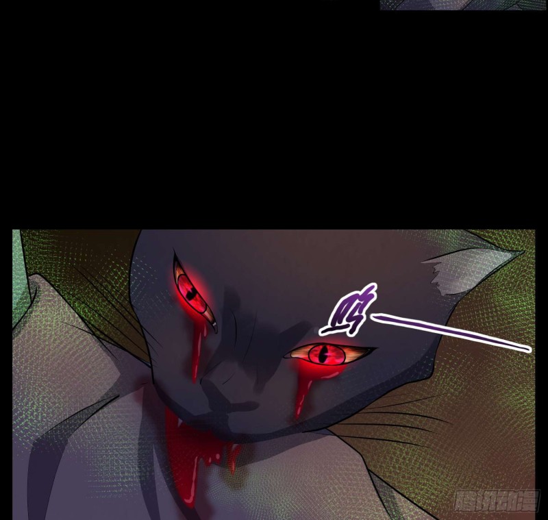 活死人墓33