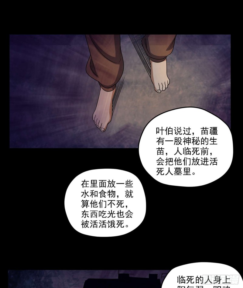 活死人墓8