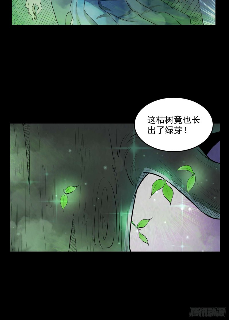 枯木逢春16
