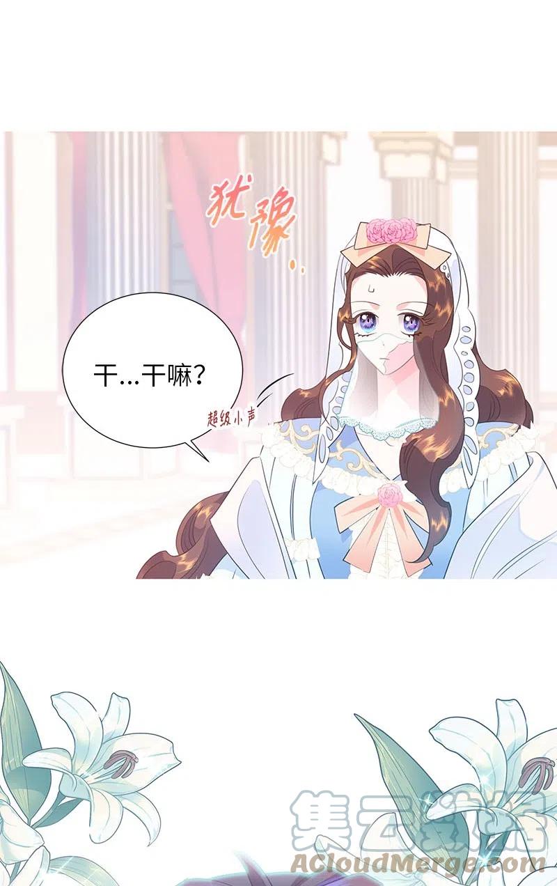 66 公开关系36