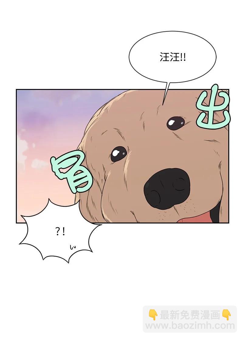 20 恋爱关系30
