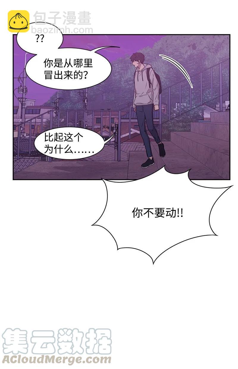 20 恋爱关系80