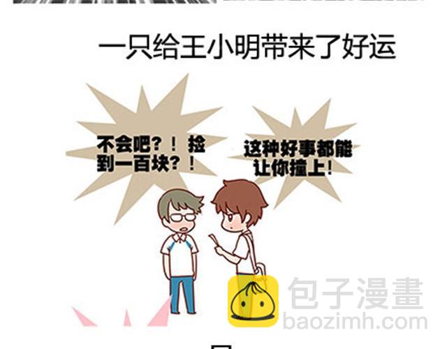 第二季#17 那一年的回忆2