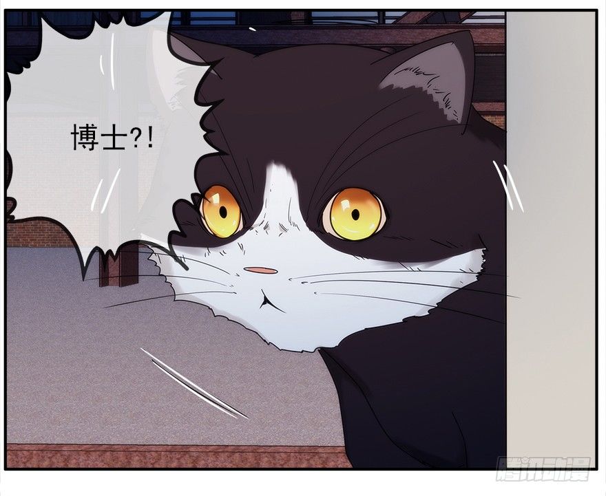 22.已经开始了20