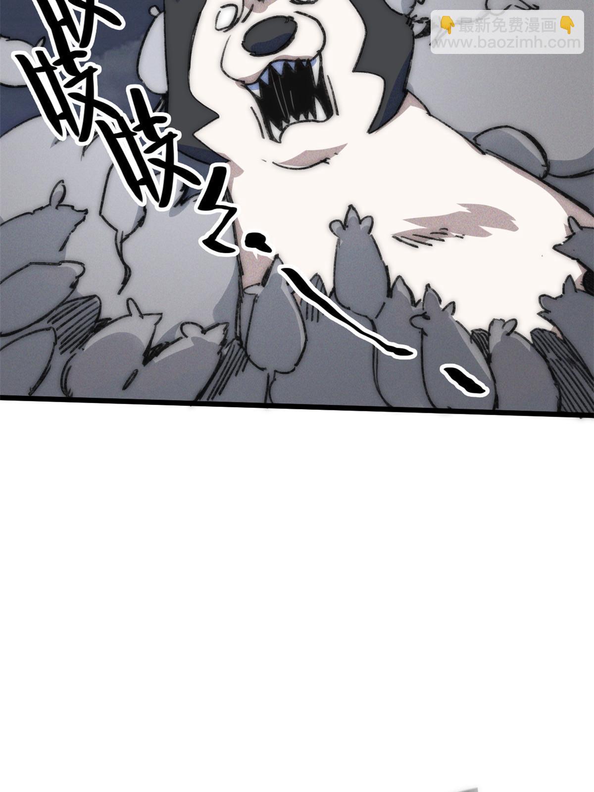 78 雪中送碳啦！14