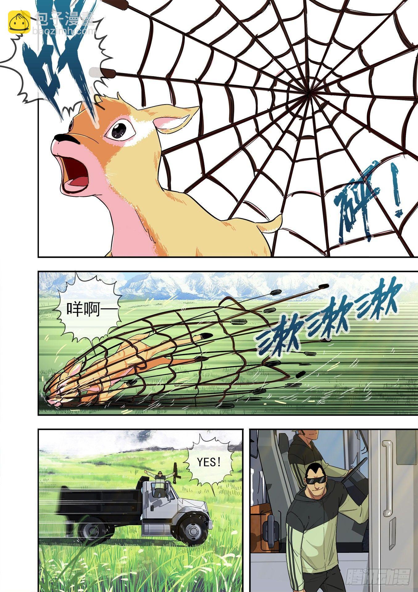 可可西里14