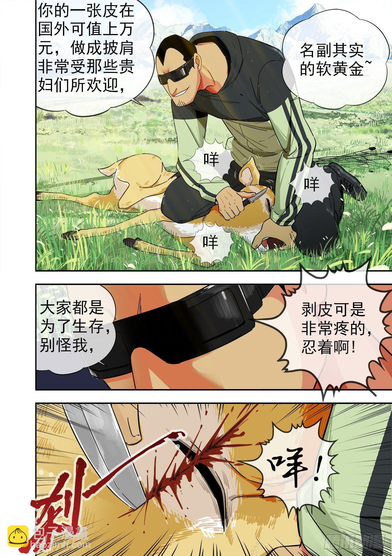 可可西里16