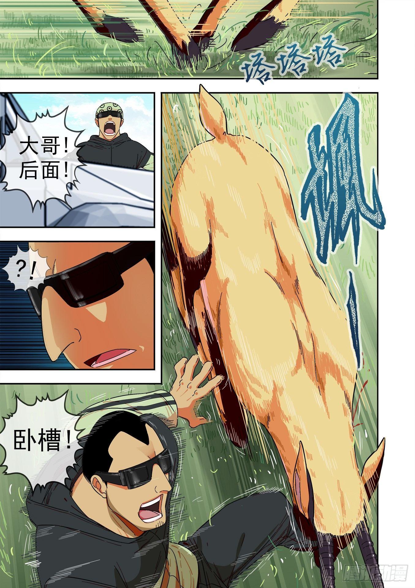 可可西里17