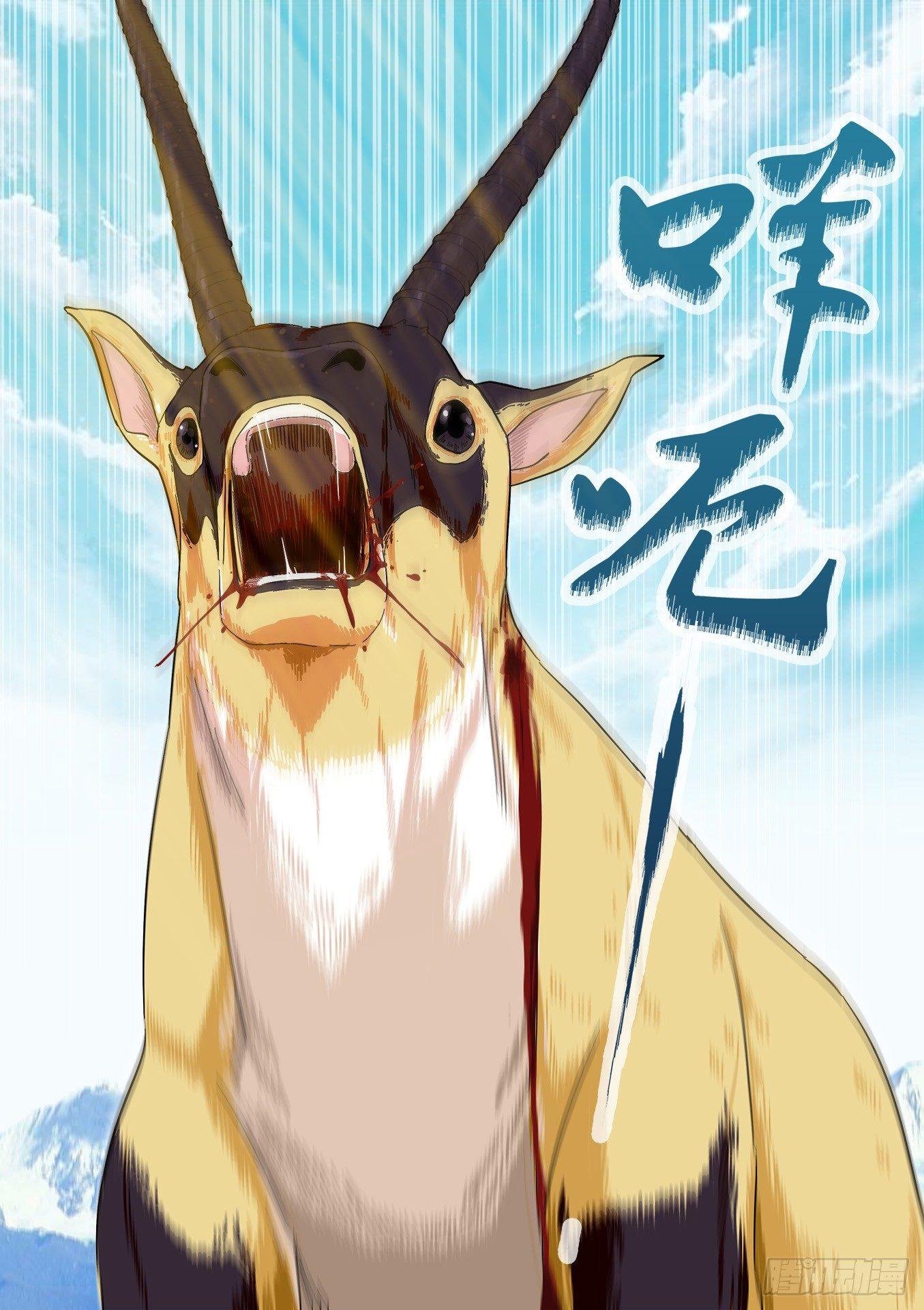 可可西里19