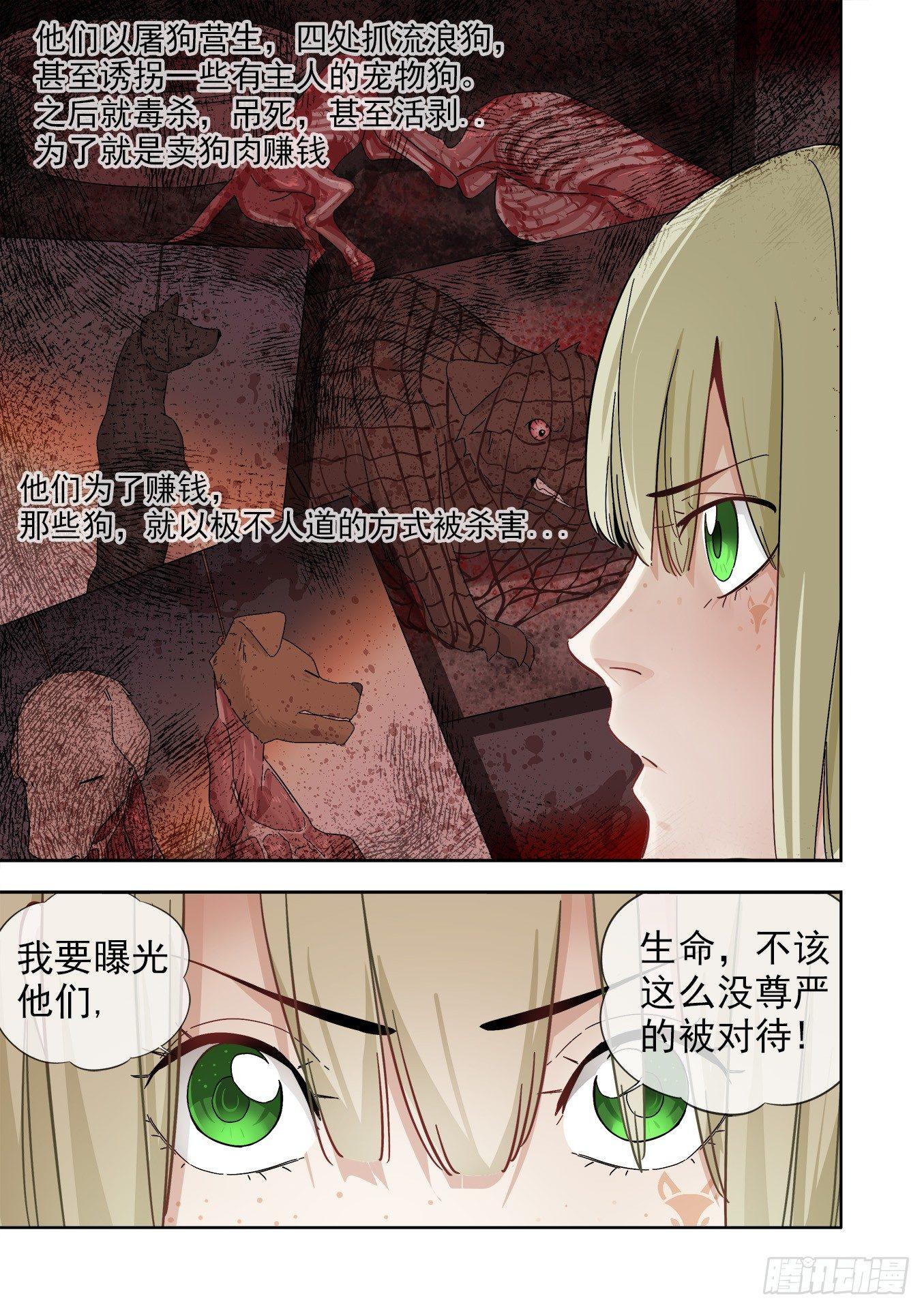 可可西里316