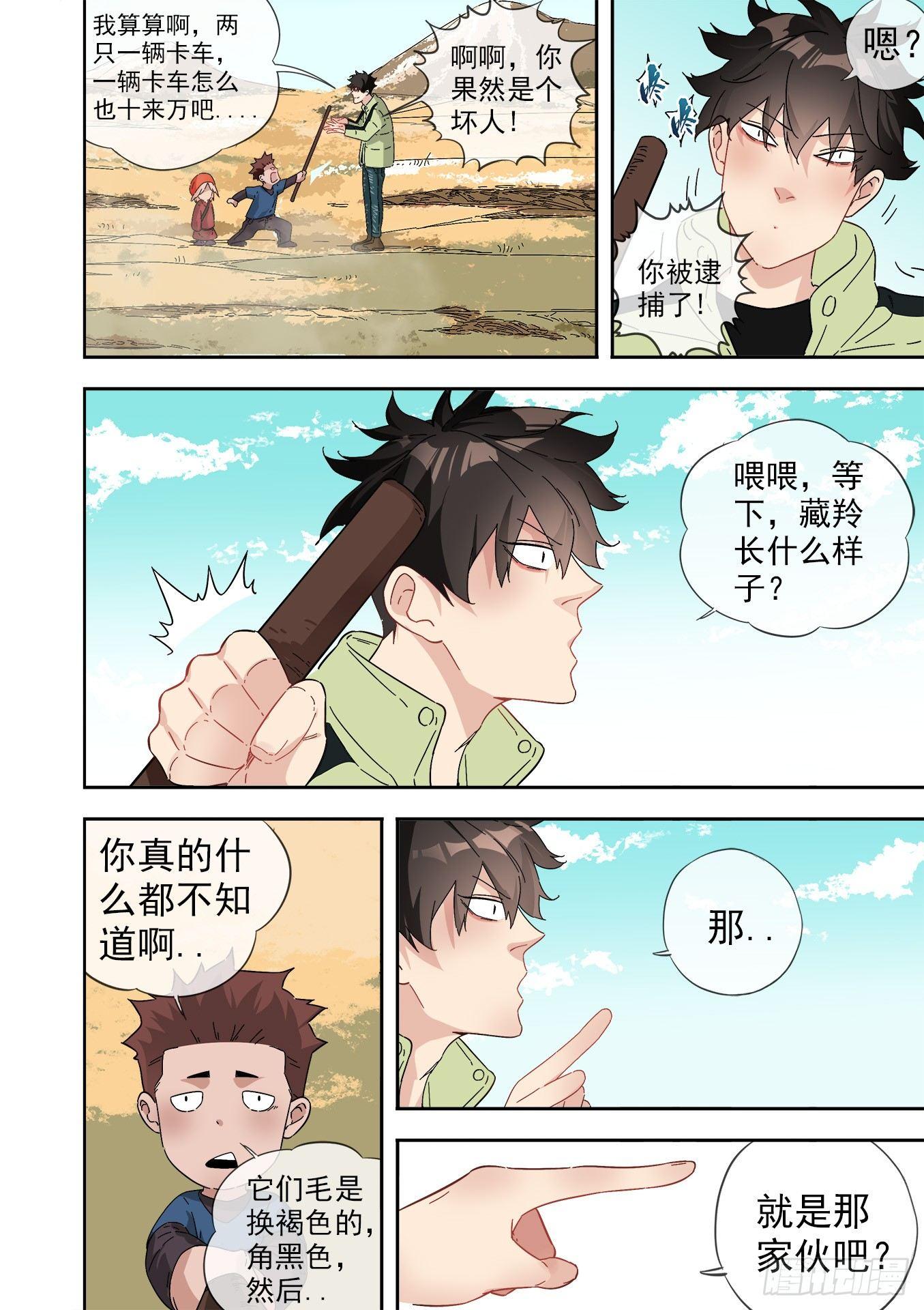 12.藏羚王10